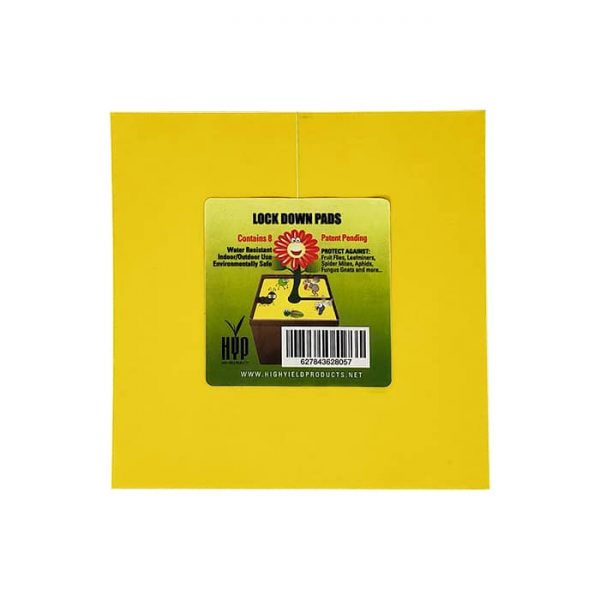 Lock Down Pads - 6" Square - Bulk 100 Pack